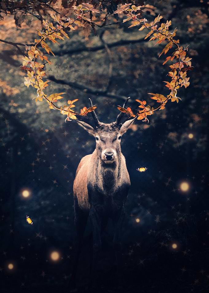 The magical forest king