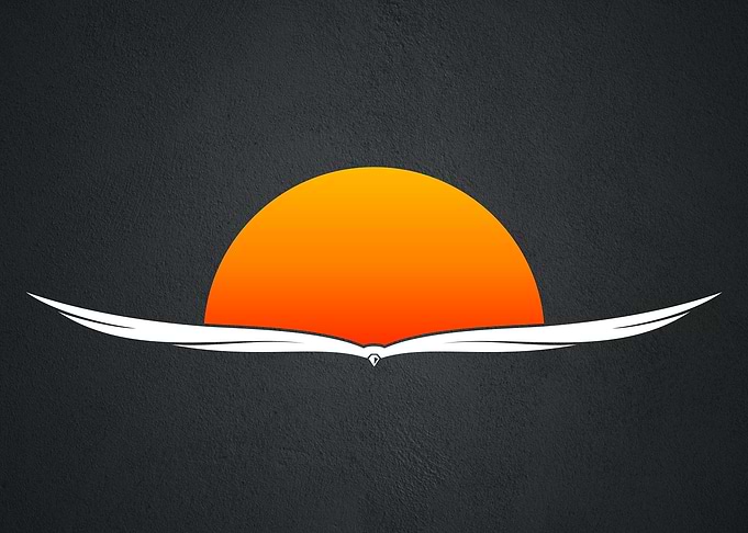 condor bird design art
