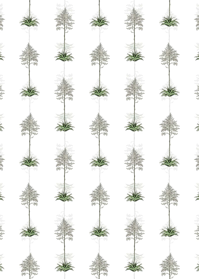 White Giant Cabuya Pattern