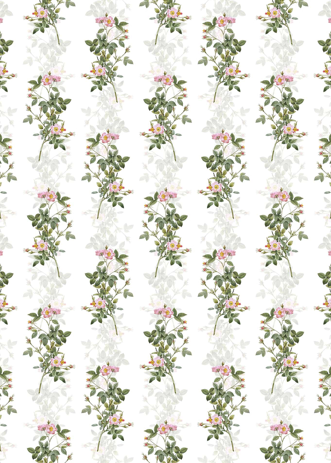 Pink Pompon Rose Pattern