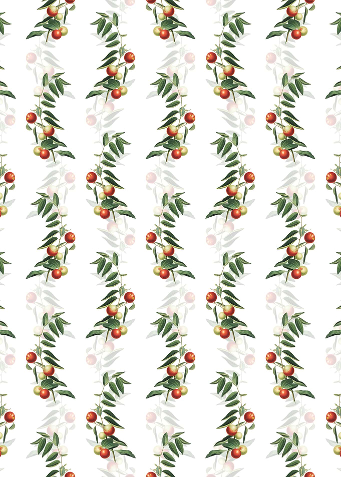 Chinese Jujube Pattern