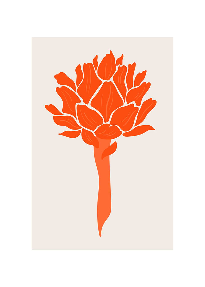 Tropical Orange flower