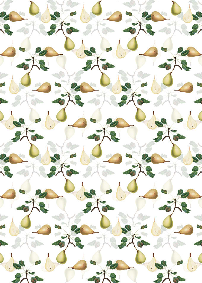 White Floral Pear Pattern