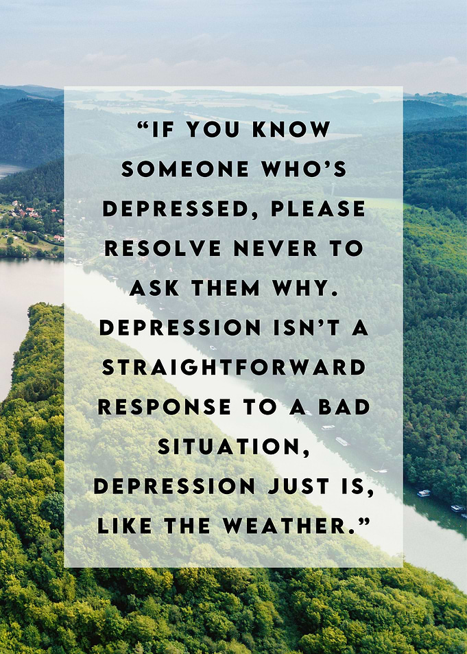 Stephen Fry Quotes