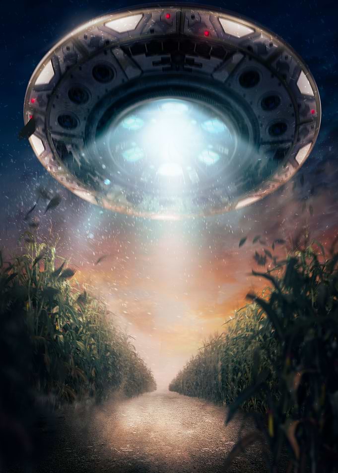 Visitor