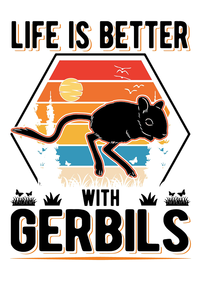 Gerbil Racing rat