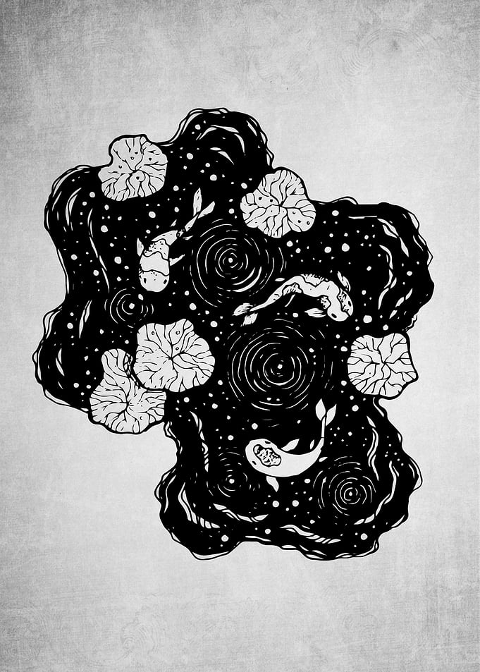Galaxy Pisces
