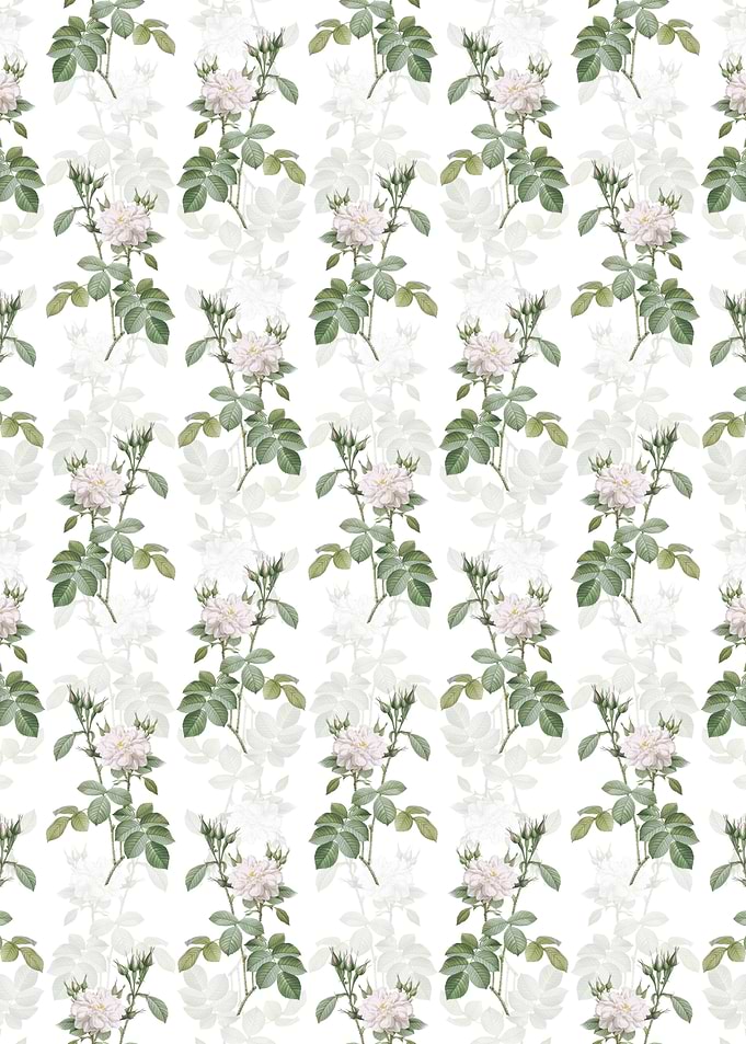 Autumn Damask Rose Pattern