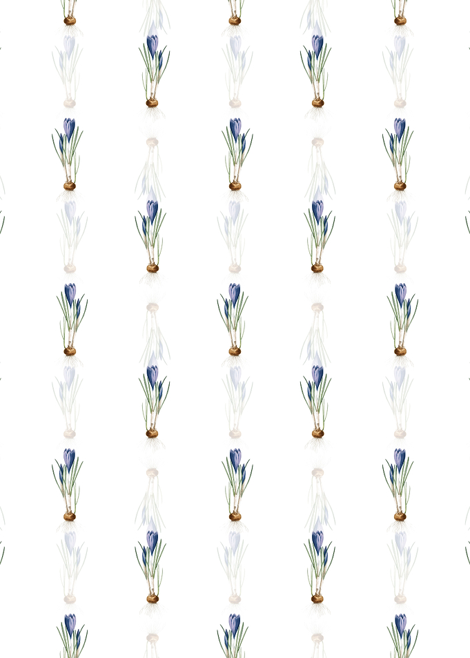 Spring Crocus Pattern