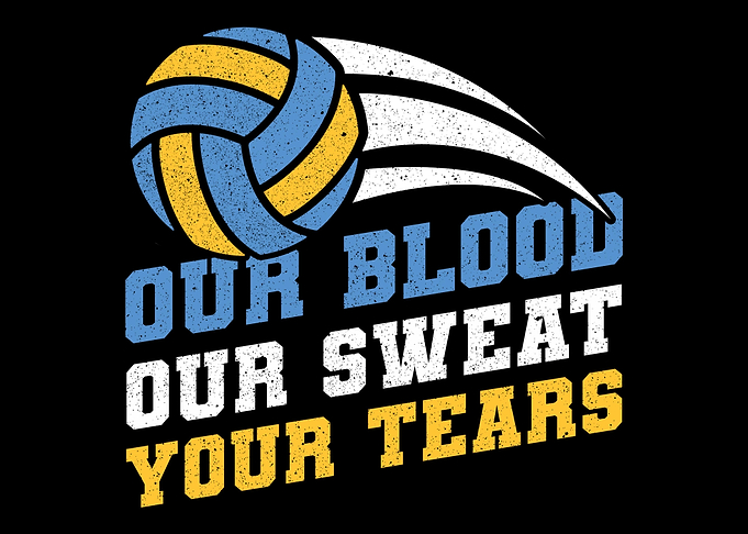 Volleyball