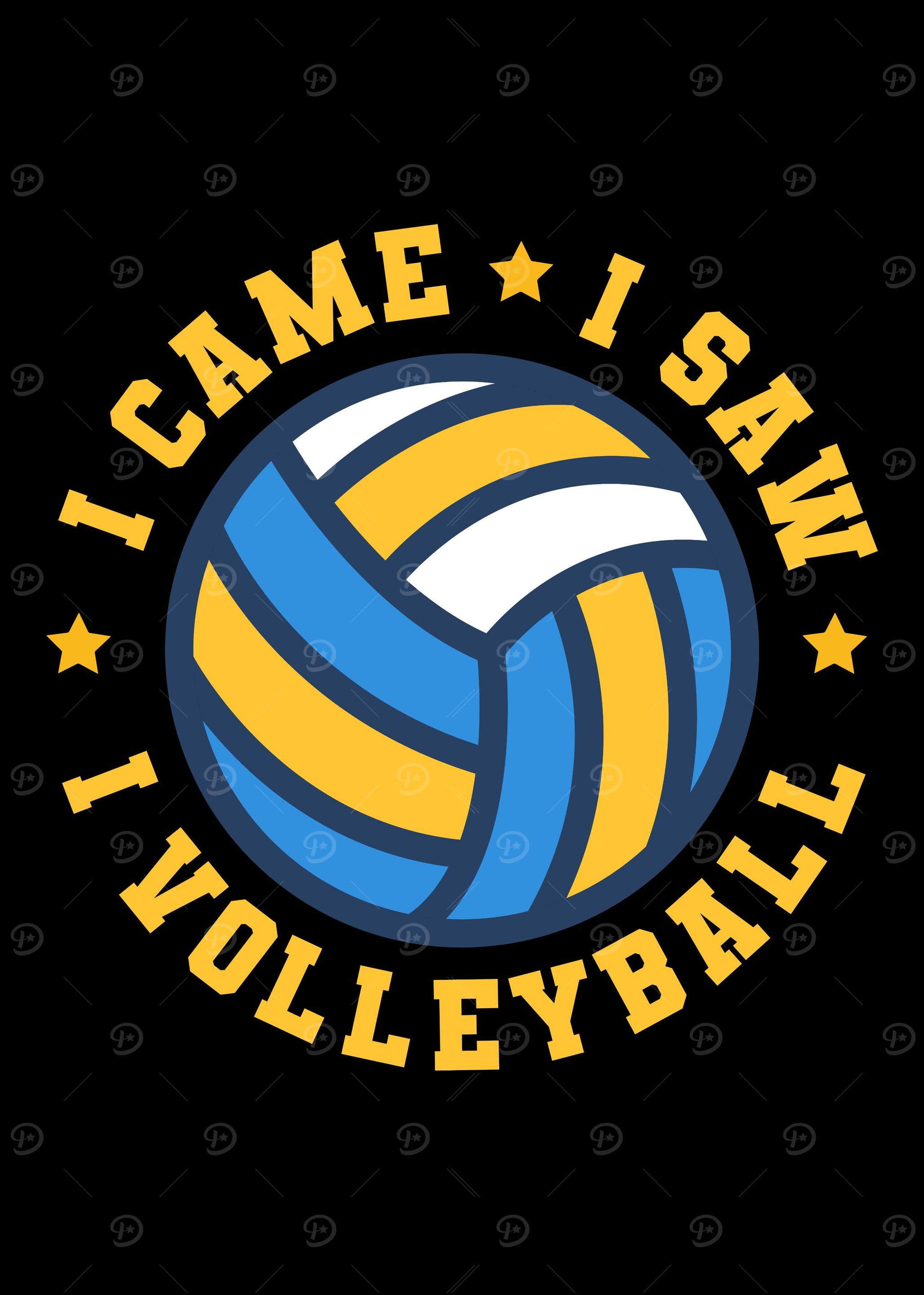 Volleyball