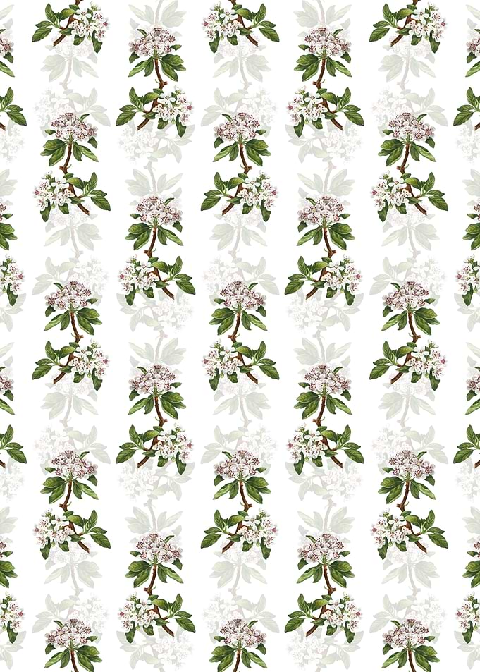 Almond Leaved Pear Pattern