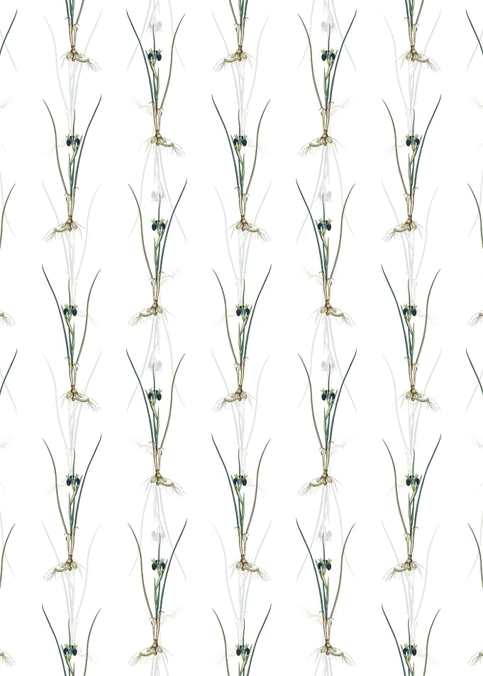 Floral Snakes Head Pattern
