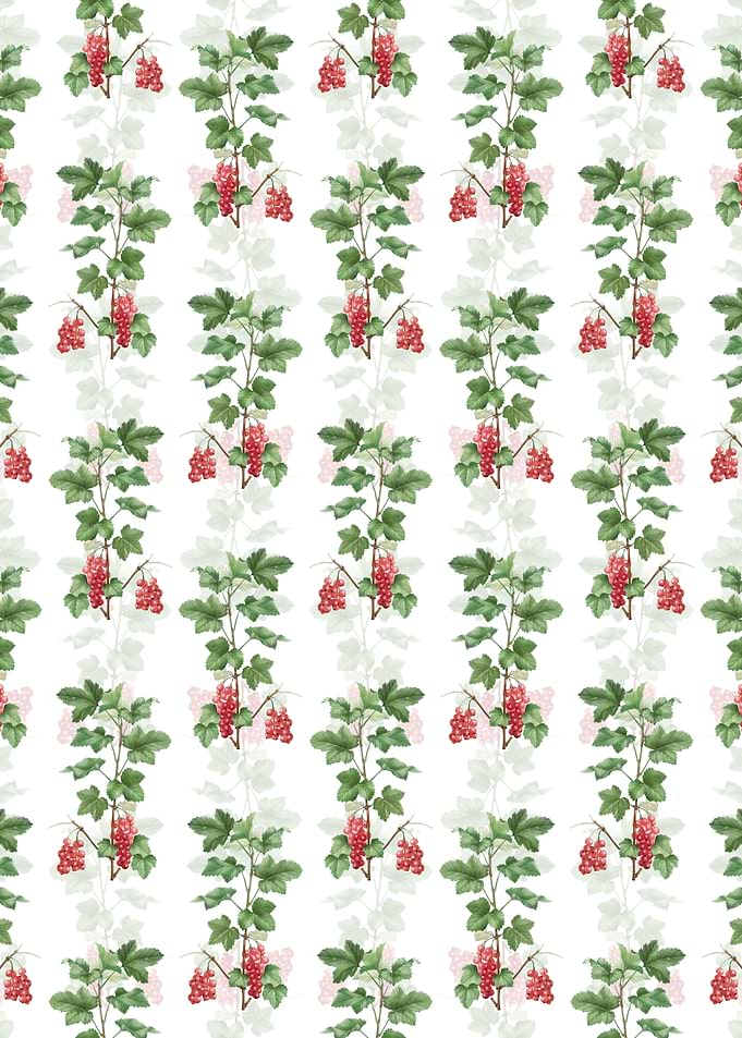 Redcurrant Plant Pattern