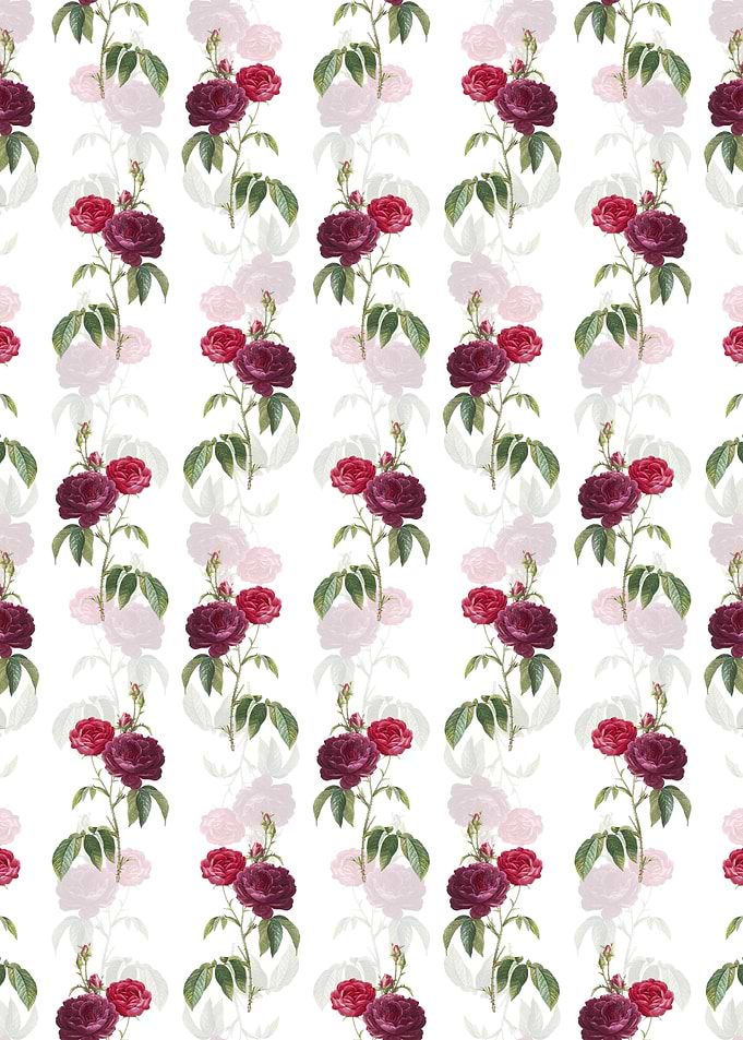 White Purple Roses Pattern