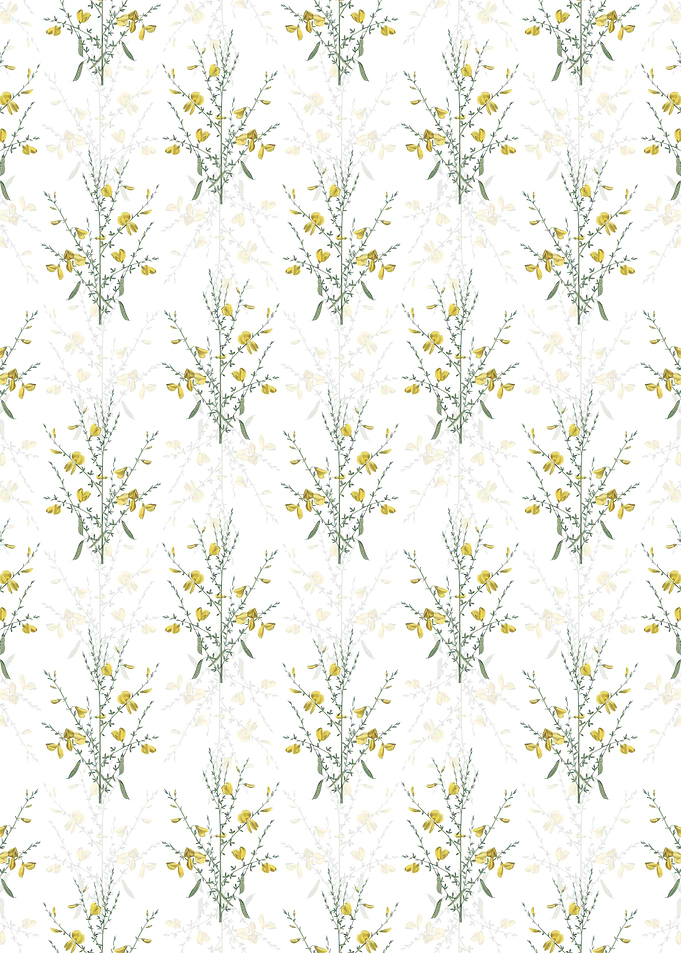 White Yellow Broom Pattern
