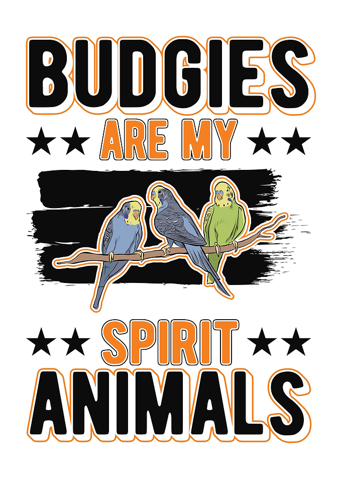 Budgie Gift Parakeet