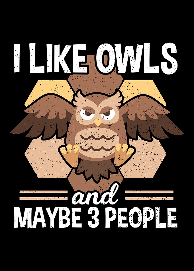 I Like Owls and Maybe 3 Pe