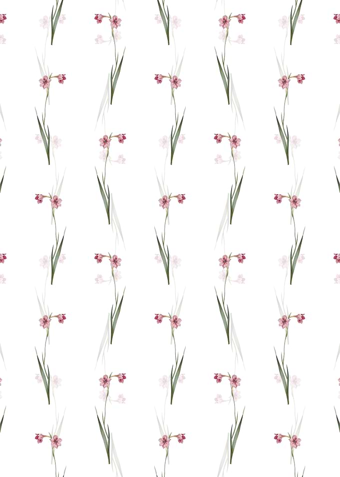 Floral Sword Lily Pattern