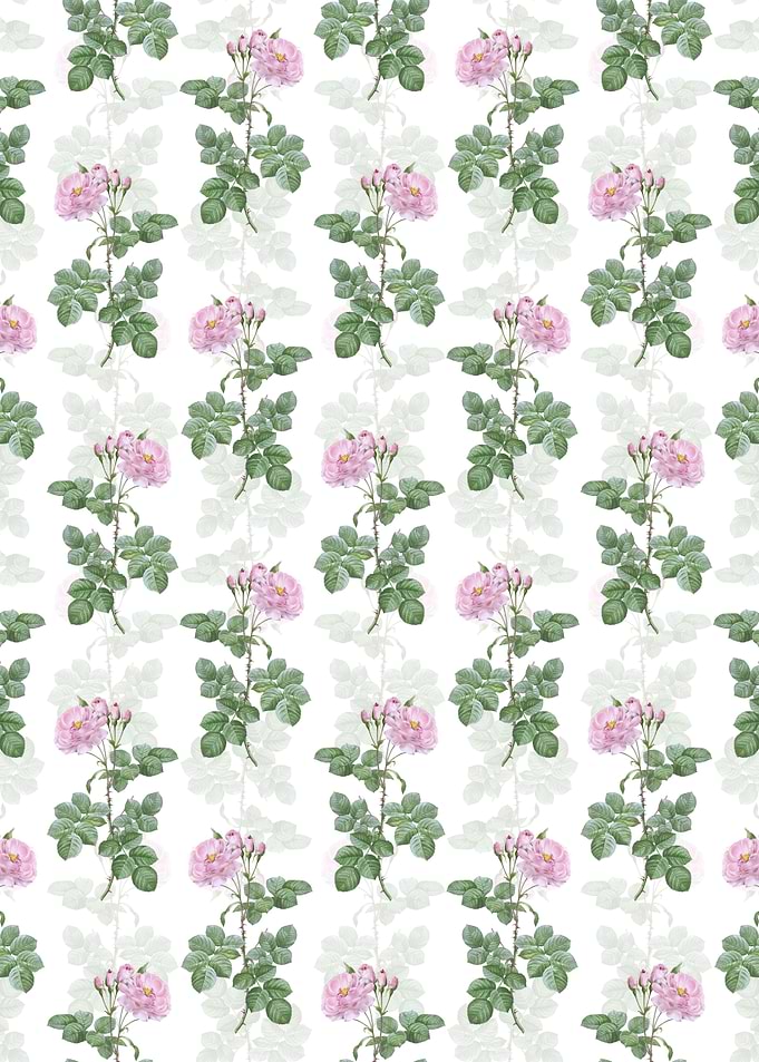 Floral Damask Rose Pattern