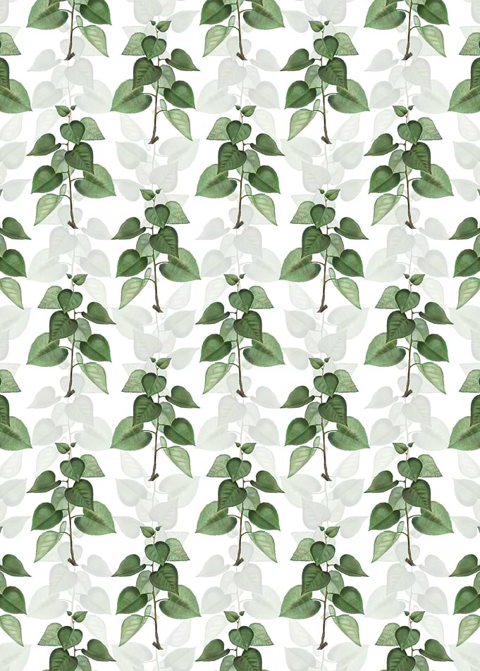 Quaking Aspen Pattern