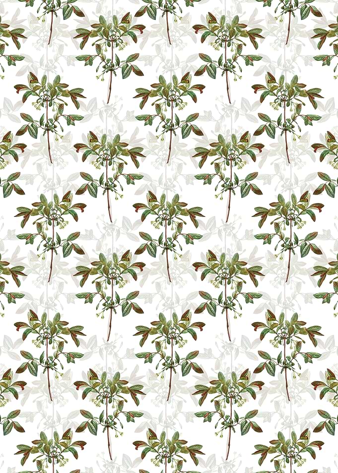 Honeyberry Flower Pattern