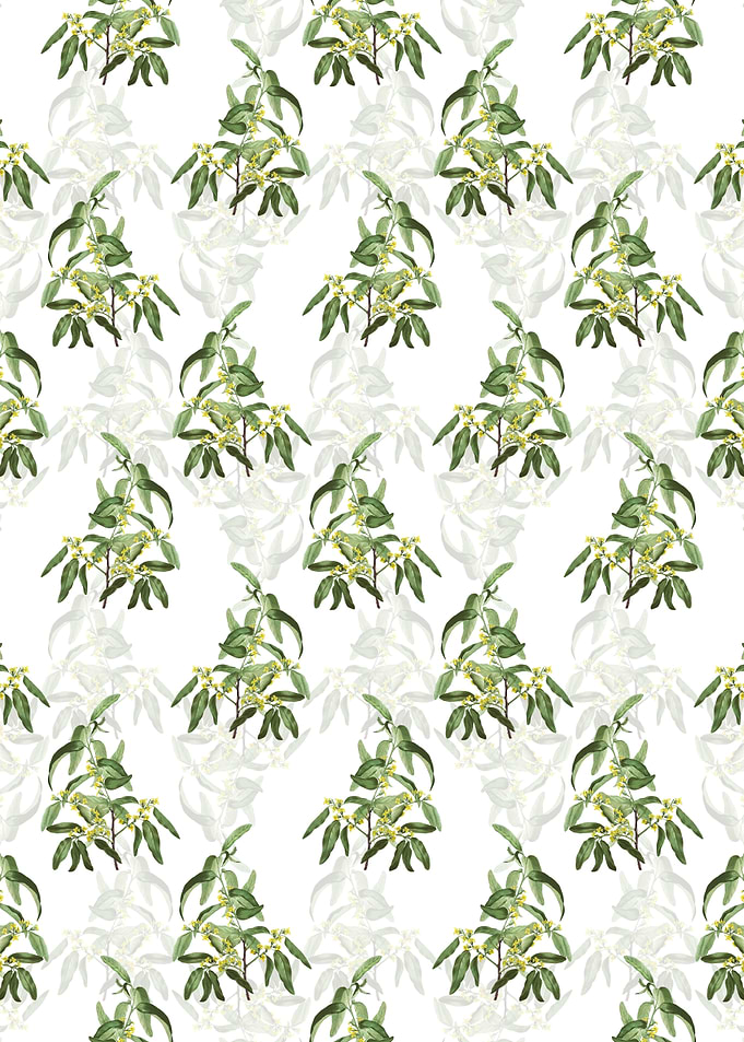 Russian Olive Pattern