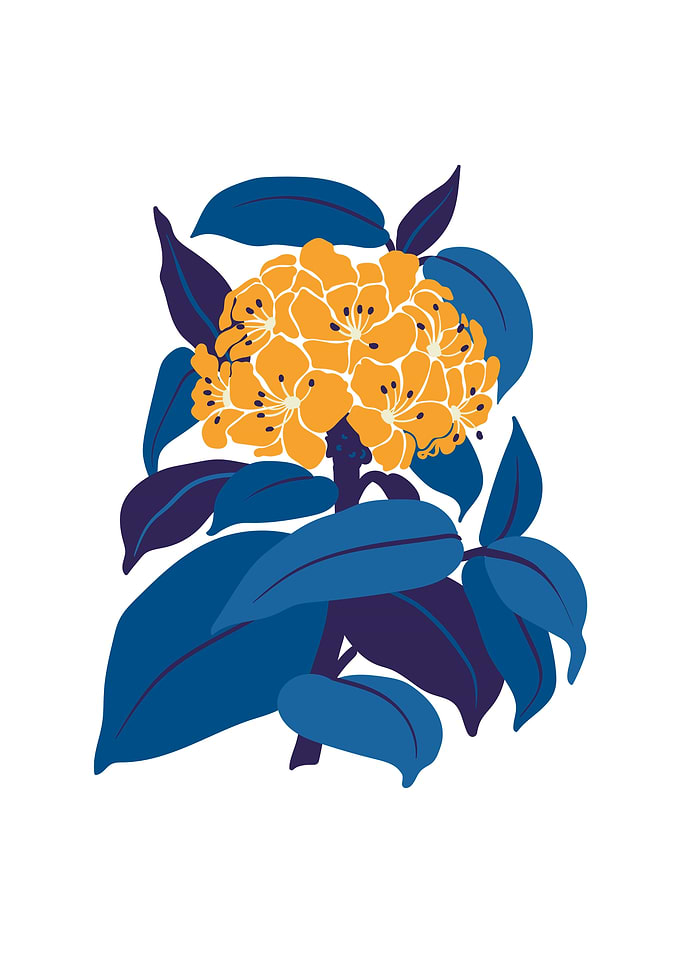Botanical floral blossom