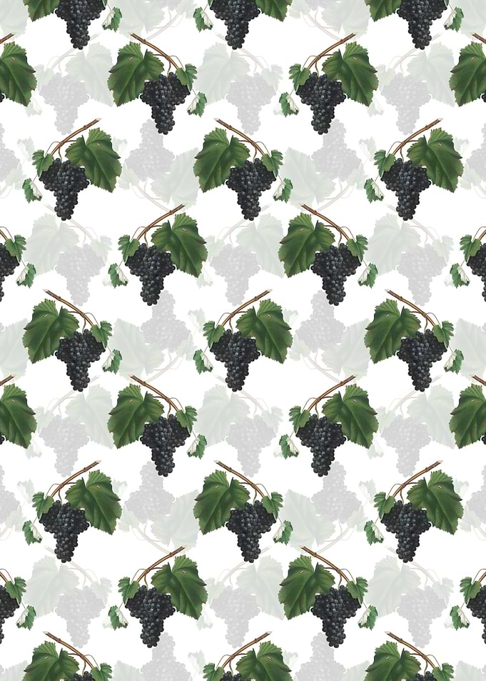 Black Canaiolo Pattern