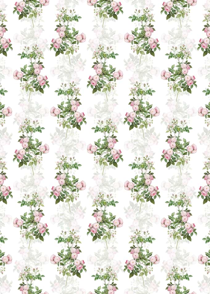 Pink Baby Roses Pattern
