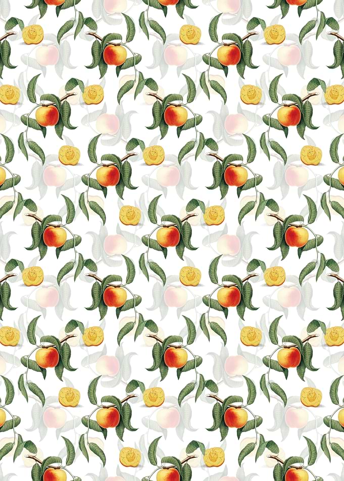White Floral Peach Pattern