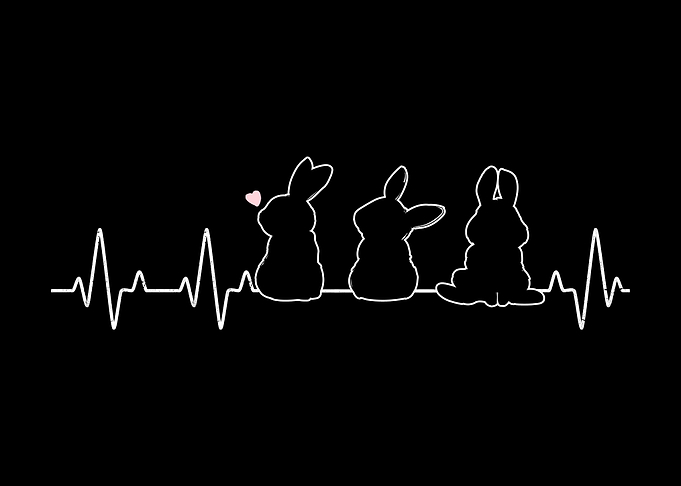 Rabbits Heartbeat
