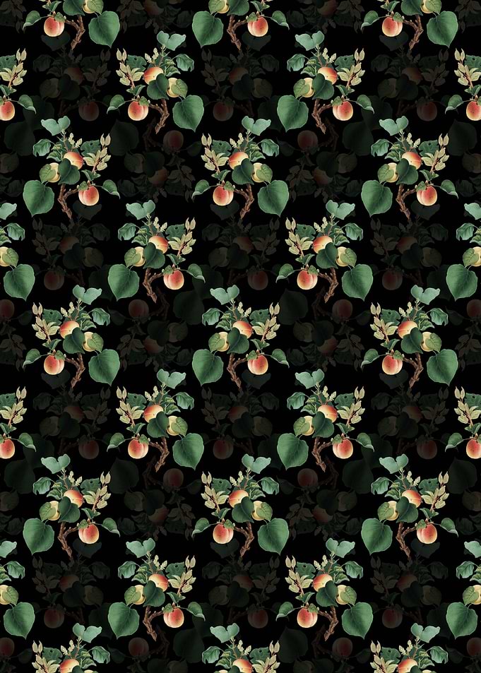 Floral Apricot Pattern