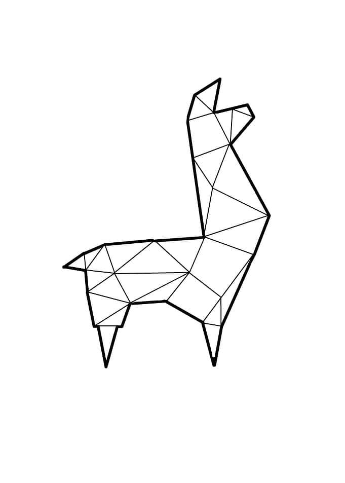 Geometric llama