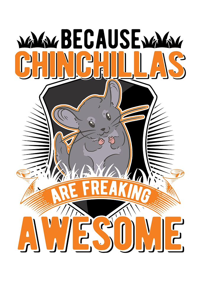 Chinchilla Lover