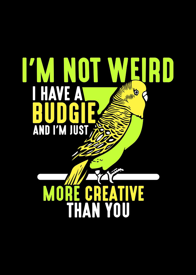 Budgie Budgeriga