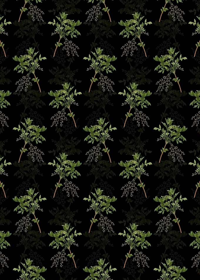 Shrub Yellowroot Pattern