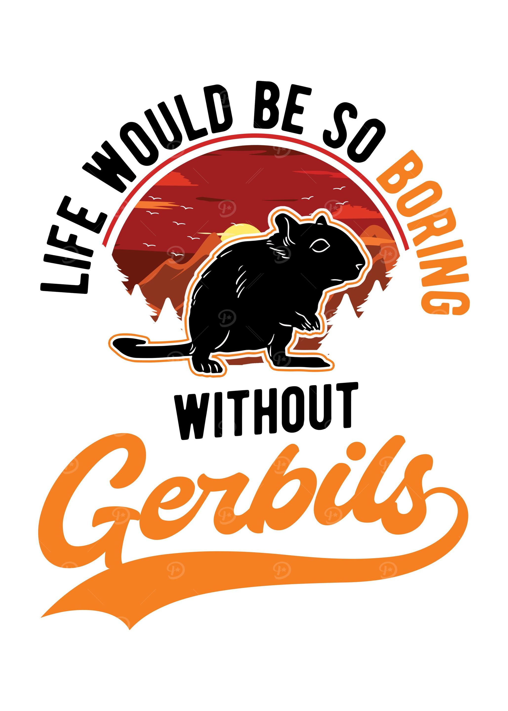 Gerbil Racing Rat