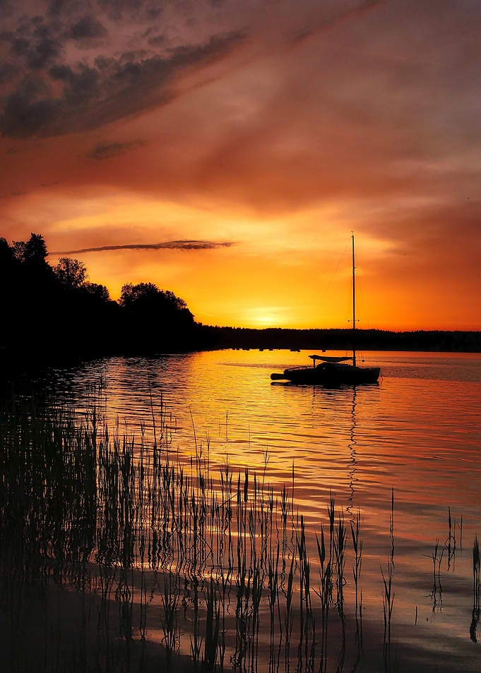 Boat Sailing Boats Ocean