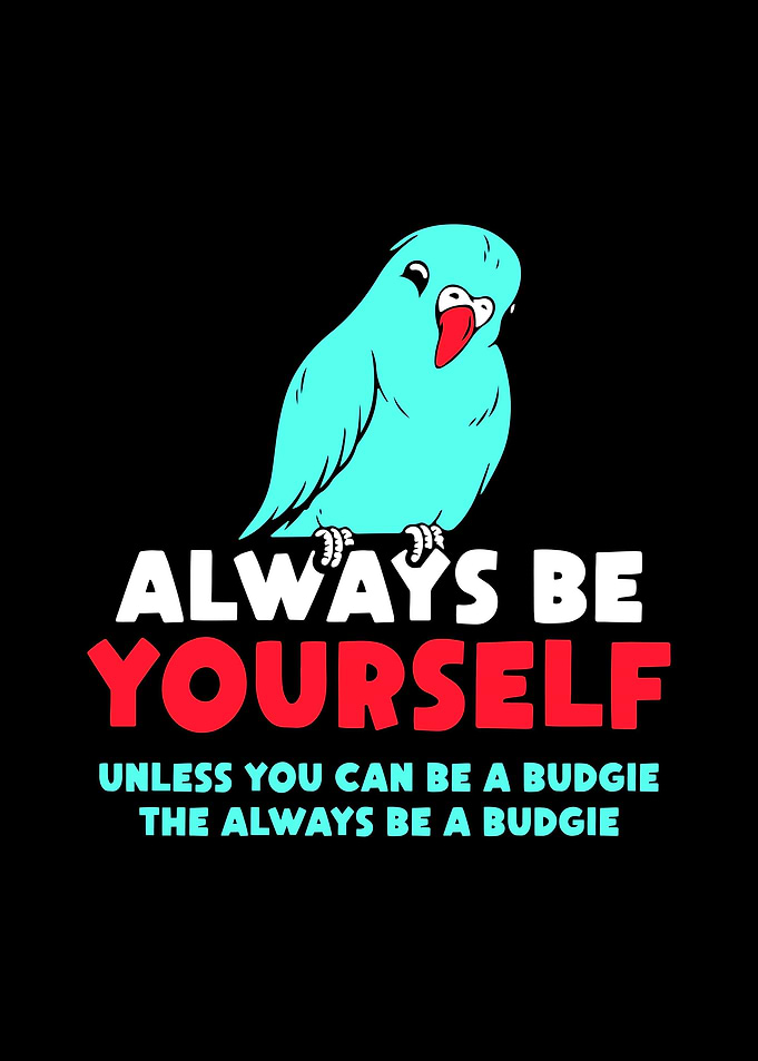 Budgie Budgeriga
