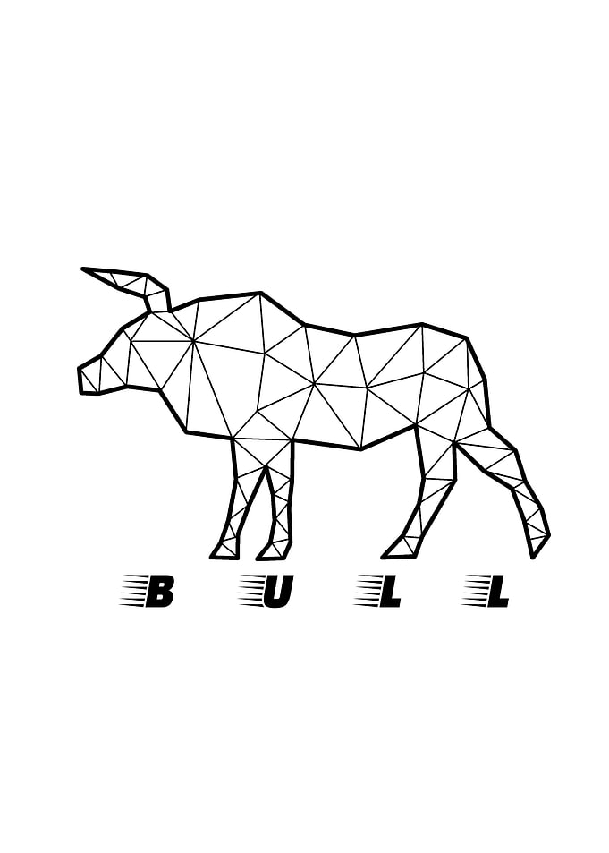 Bull