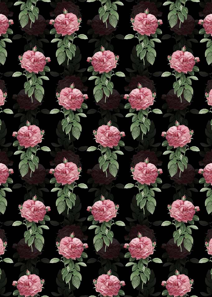 Giant French Rose Pattern