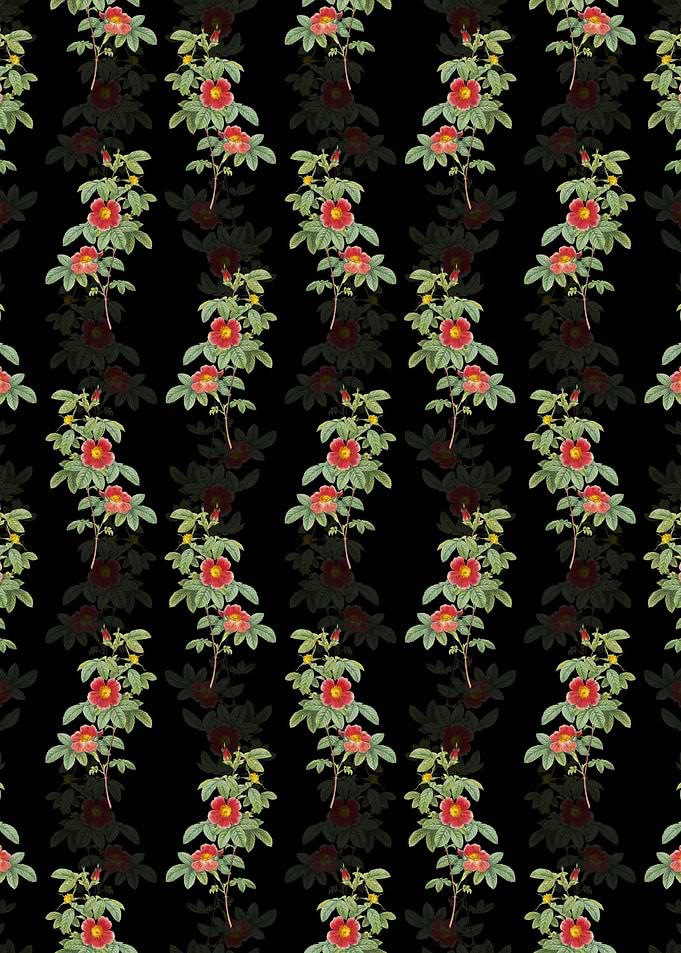 Single May Rose Pattern