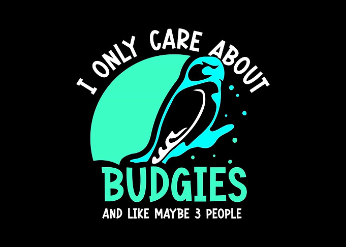 Budgie Budgeriga