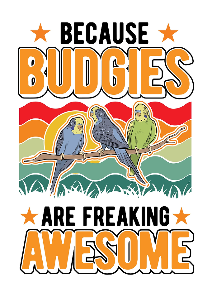 Budgie Gift Parakeet