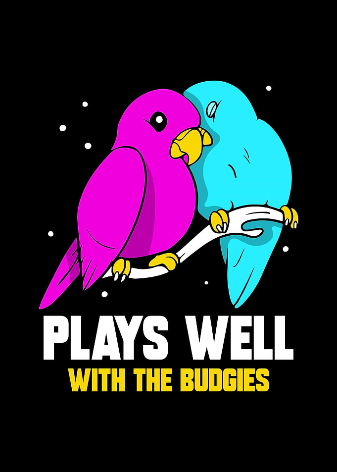 Budgie Budgeriga