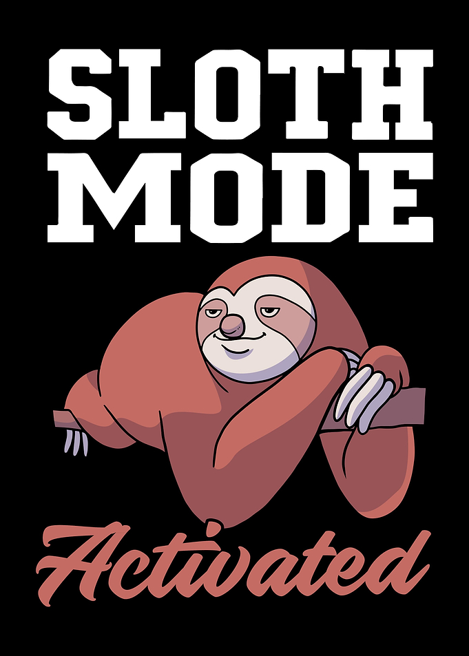 Sloth Lazy Animals