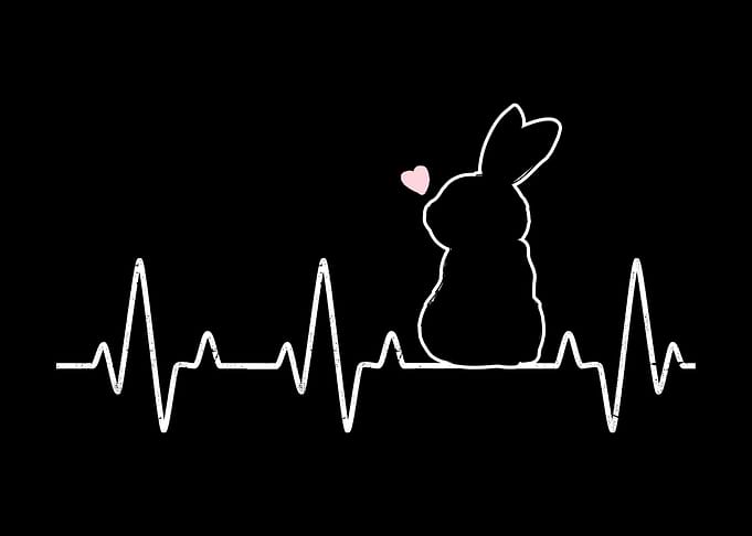 Bunny Heartbeat