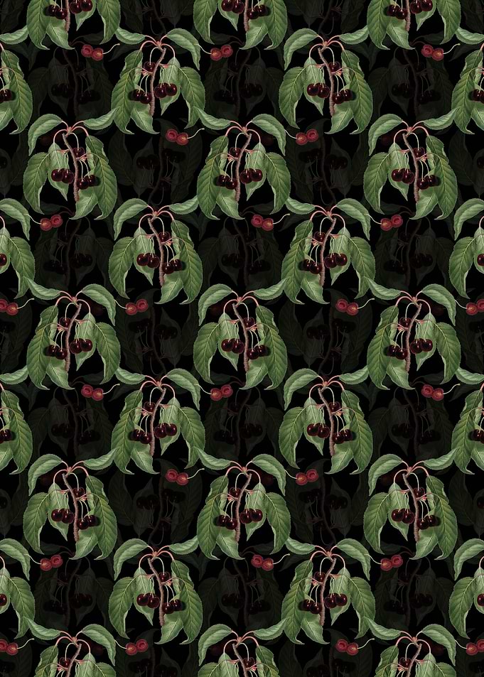 Black Hard Fleshed Cherry