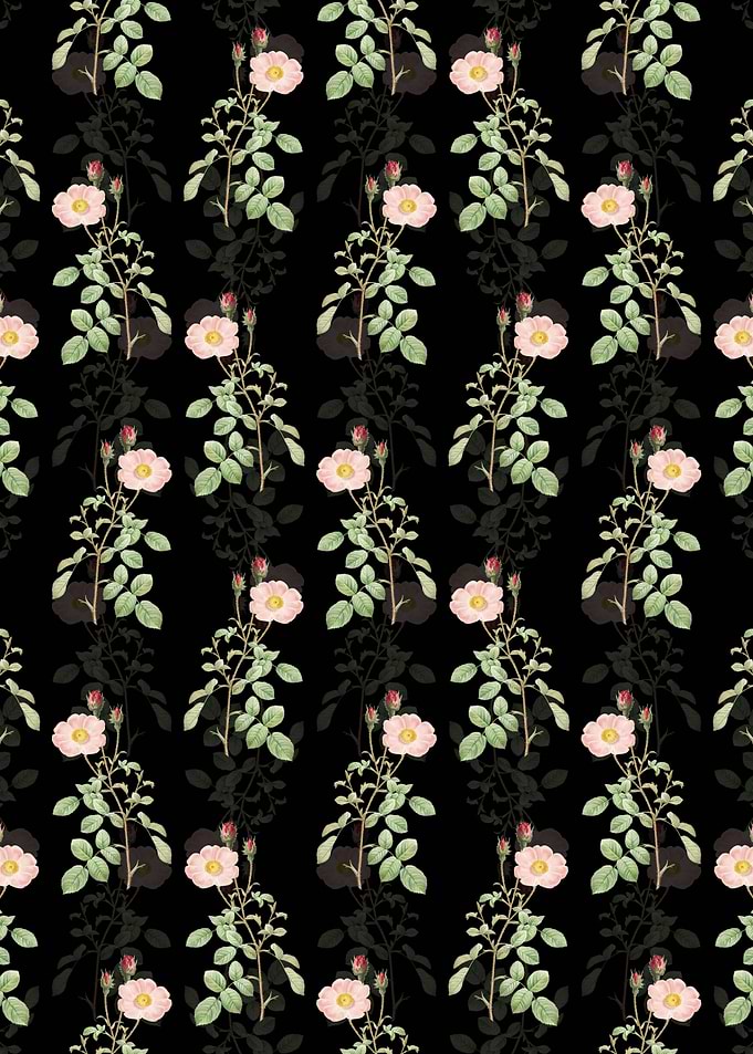 Sparkling Rose Pattern